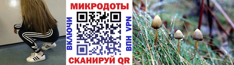 Купить закладки  Бузулук  Псилоцибиновые грибы GOLDEN TEACHER 